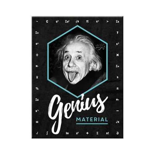  RETRO Einstein – Hűtőmágnes