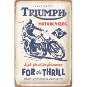 RETRO  Triumph – For the Thrill – Fémtábla