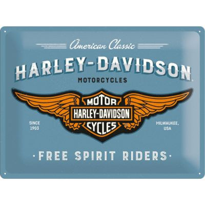 RETRO Davidson Free Spirit Riders Fémtábla