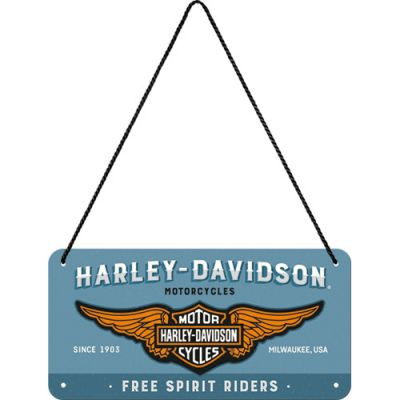 RETRO Harley Davidson free Spirit Riders - Fémtábla