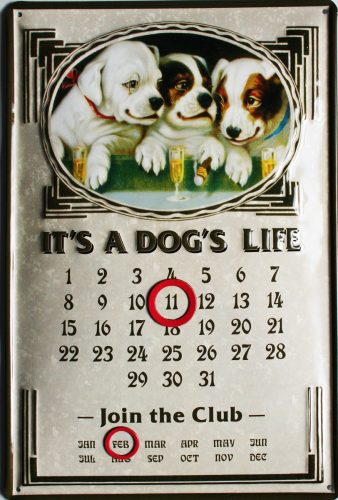 It Is A Dogs Life - Fémtábla